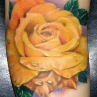 Tatuaggio super realistico la rosa gialla con la rugiada