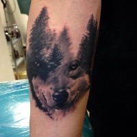 Abstract style black ink arm tattoo of deep forest with wolf