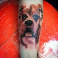 Abstract style colored dog portrait tattoo on arm