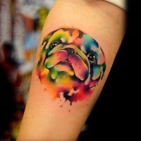 Abstract style colorful dog portrait tattoo on arm