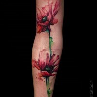 Abstract style multicolored sleeve tattoo of beautiful flowers