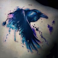 Abstract style unusual colored big crow tattoo on shoulder