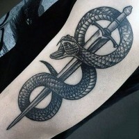 accurato disegno nero e bianco serpente su spada tatuaggio su braccio