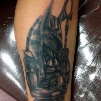 Tatuaje en la pierna, dios Anubis fascinante volumétrico bien dibujado