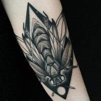 Präzise Dotwork-Stil mittlerer Größe von Michele Zingales Unterarm Tattoo der großen Fliege mit Kreis gemalt