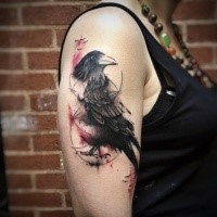 Accurate lifelike colored upper arm tattoo of crow