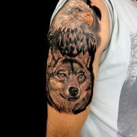 Akkurat gefärbte und farbige sehr detaillierte Adler und Wolf Tattoo am Oberarm