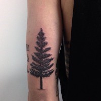 Accurate painted black ink little spruce tree tattoo on arm