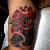 accurato bel dipinto molto molto realistico testa di gallo tatuaggio su braccio