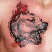 Aggressive dog skin rip tattoo on chest for men