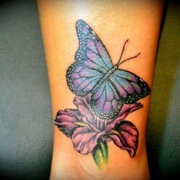 splendida farfalla e fiore rosa tatuaggio su gamba