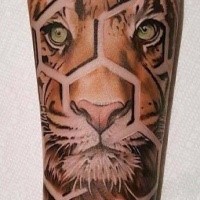 Amazing designed and colored forearm tattoo of tiger portrait