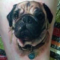 Amazing detailed and colored sweet little dog portrait tattoo on leg