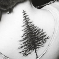 Amazing detailed design pine tree tattoo on back