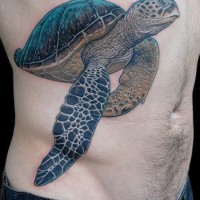 meravigliosa tartaruga dettagliata tatuaggio sulle costolette da Deano Cook