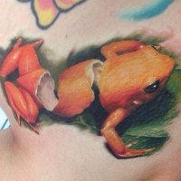 Amazing idea of frog tattoo