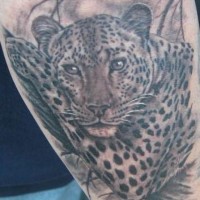 Tatuaje en el brazo,
jaguar que descansa en la rama