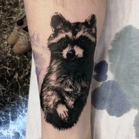 Amazing looking black and white tattoo of cute raccoon