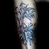 Amazing looking colored leg tattoo of bamboo