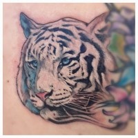 Amazing looking multicolored rare white tiger head tattoo