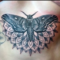 Tatuaje en la espalda,
polilla divina en mandala