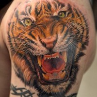 Tatuaje en el brazo, cara de tigre estupendo