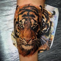 Amazing tiger head tattoo on leg