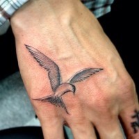 Tatuaje de ave tierna gris en la mano