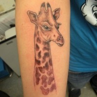 Angry giraffe tattoo face on arm