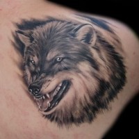 Tattoo mit verärgertem grauem Wolf in Tusche auf der Rückseite der rechten Schulter