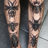 Are different beetles black ink tattoo on legs