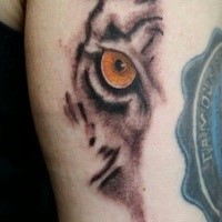 Art style colored arm tattoo of tiger face part