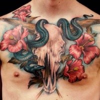 Art style colored beautiful painted chest tattoo of animal skull with flowers and snake
