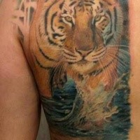 Art style colored half back tattoo of tiger walking on water