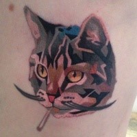Art style colored side tattoo of smoking cat with mustache