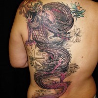 Asian style 3D like big dragon tattoo on half back with dragonflies