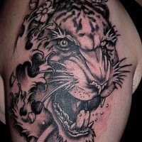 Asian style black and white realistic jungle tiger tattoo on shoulder