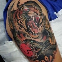 Asian style colored shoulder tattoo of tiger with demonic snake