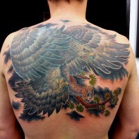 Asian style evil eagle colored tattoo on whole back with tree branch