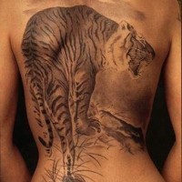 Tatuaje en la espalda, tigre que caza, diseño gris