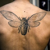 Awesome black big bug tattoo on back