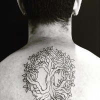 Awesome black ink very beautiful mystical tree tattoo on upper back zone