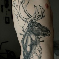 eccezionale cervo linee nere tatuaggio sulle costolette