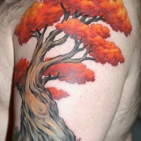 eccezionale albero con cima rossa tatuaggio sulla spalla