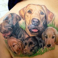 Tolles Tattoo von farbigen Hunden am Schulterblatt