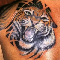 Awesome coloured tiger tattoo on shoulder