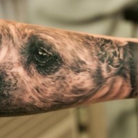 Tatuaggio realistico sul braccio la faccia del cane