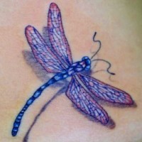 Awesome lilac dragonfly tattoo