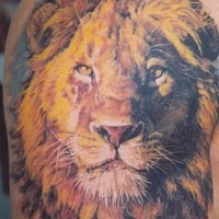 Tatuaggio grande colorato sul teltoide il leone