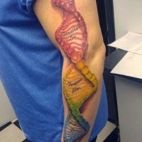 Tolle gemalt sehr realistische bunte DNS Tattoo am Ärmel